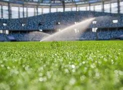 邵佳一挥新,大刀阔斧换,血潮,星际娱乐会员登录入口,星际娱乐官网,星际娱乐