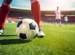 星际娱乐,产品,星际娱乐会员登录入口,星际娱乐会员登录入口,星际娱乐官网,星际娱乐